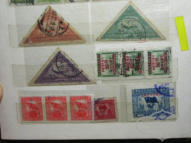 P1010004.jpg