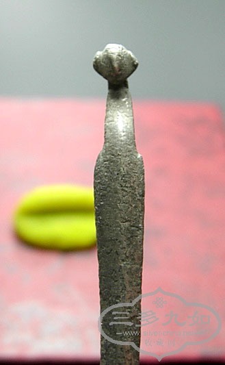 DSCN3124.jpg