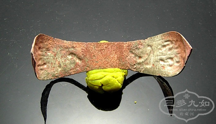 DSCN4377.jpg