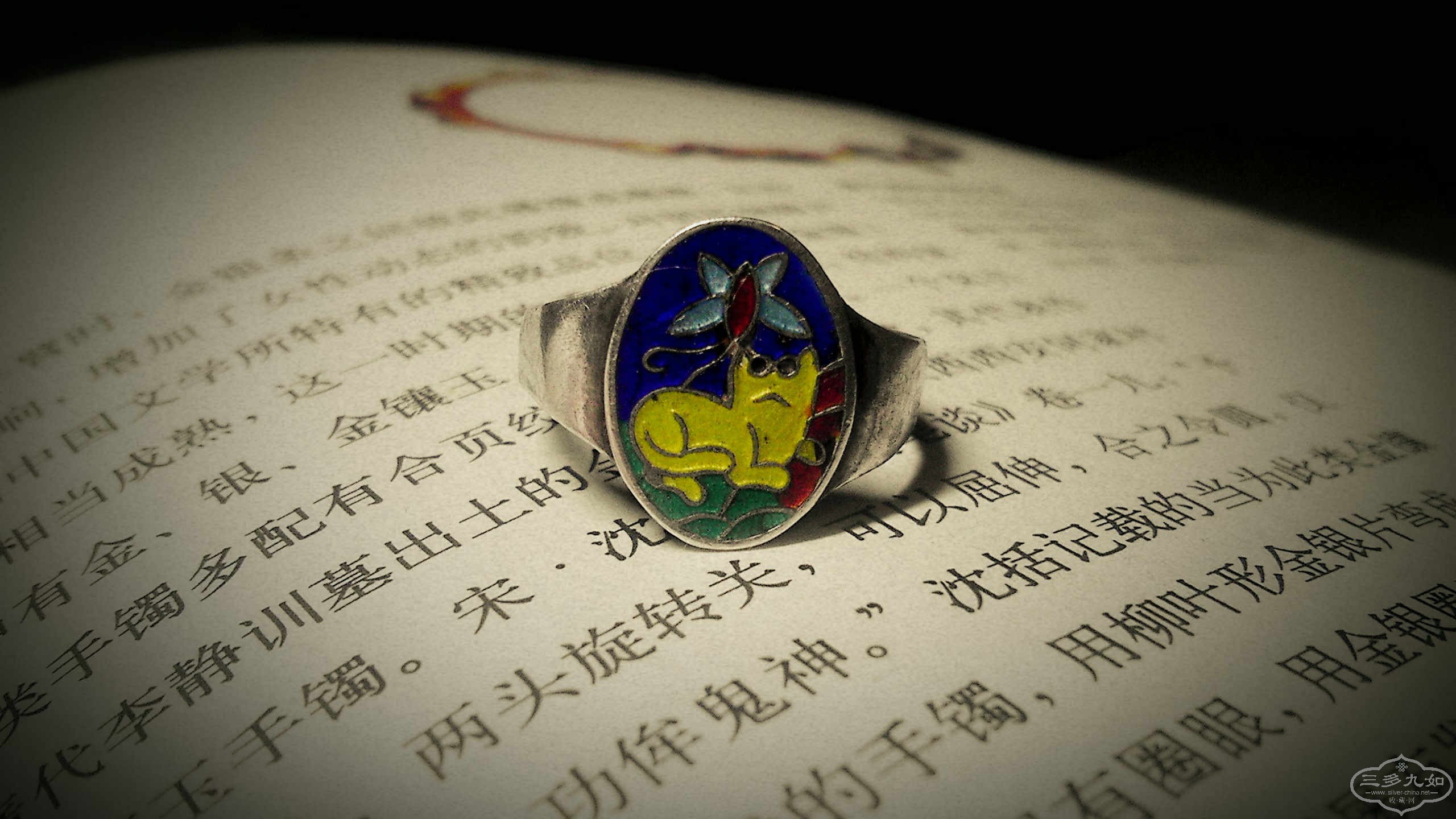 IMAG2239_.jpg