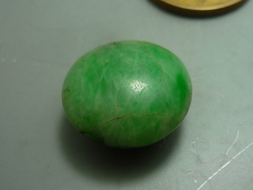 P1300006.JPG