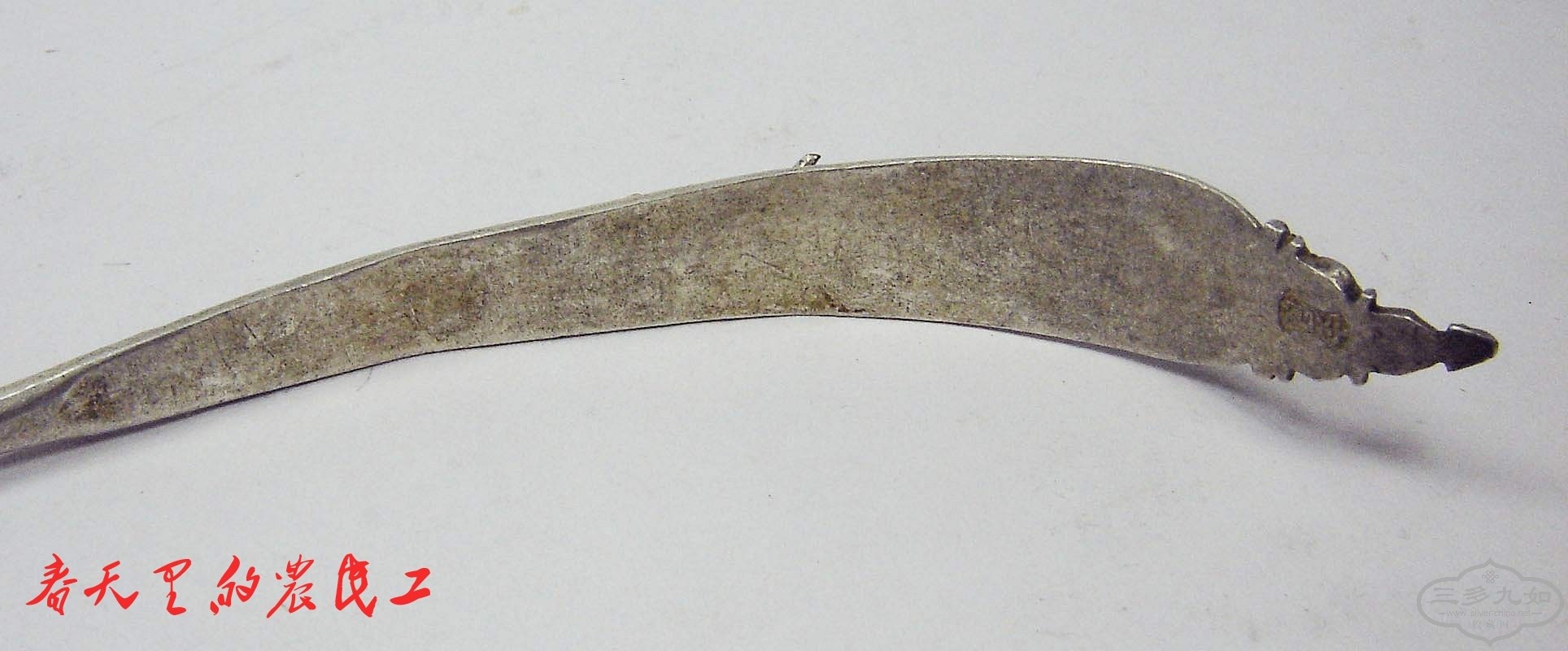 conew_dsc00670.jpg