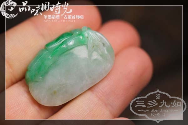 zhujie3.jpg