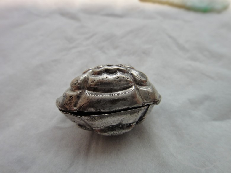 DSC02786_conew1.JPG