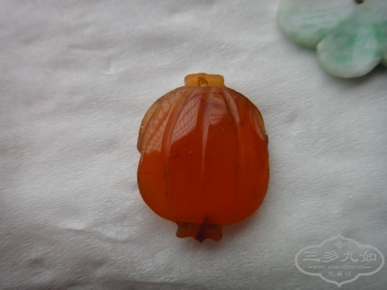 DSC02873_conew1.JPG