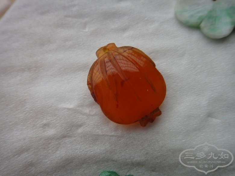DSC02872_conew1.JPG