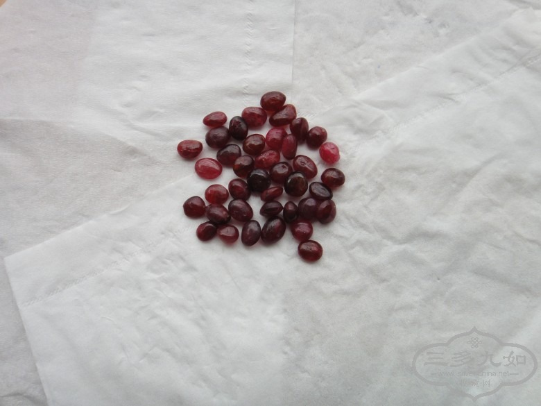 DSC02917_conew1.JPG