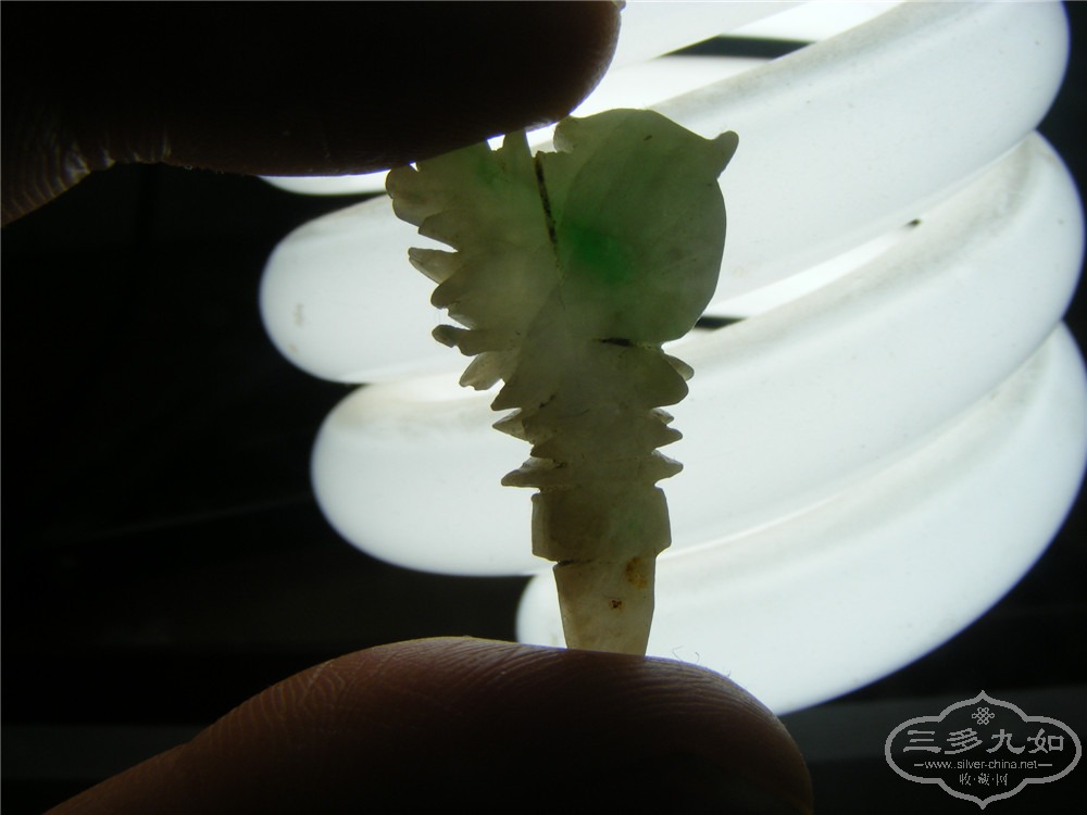 DSCF6060.jpg