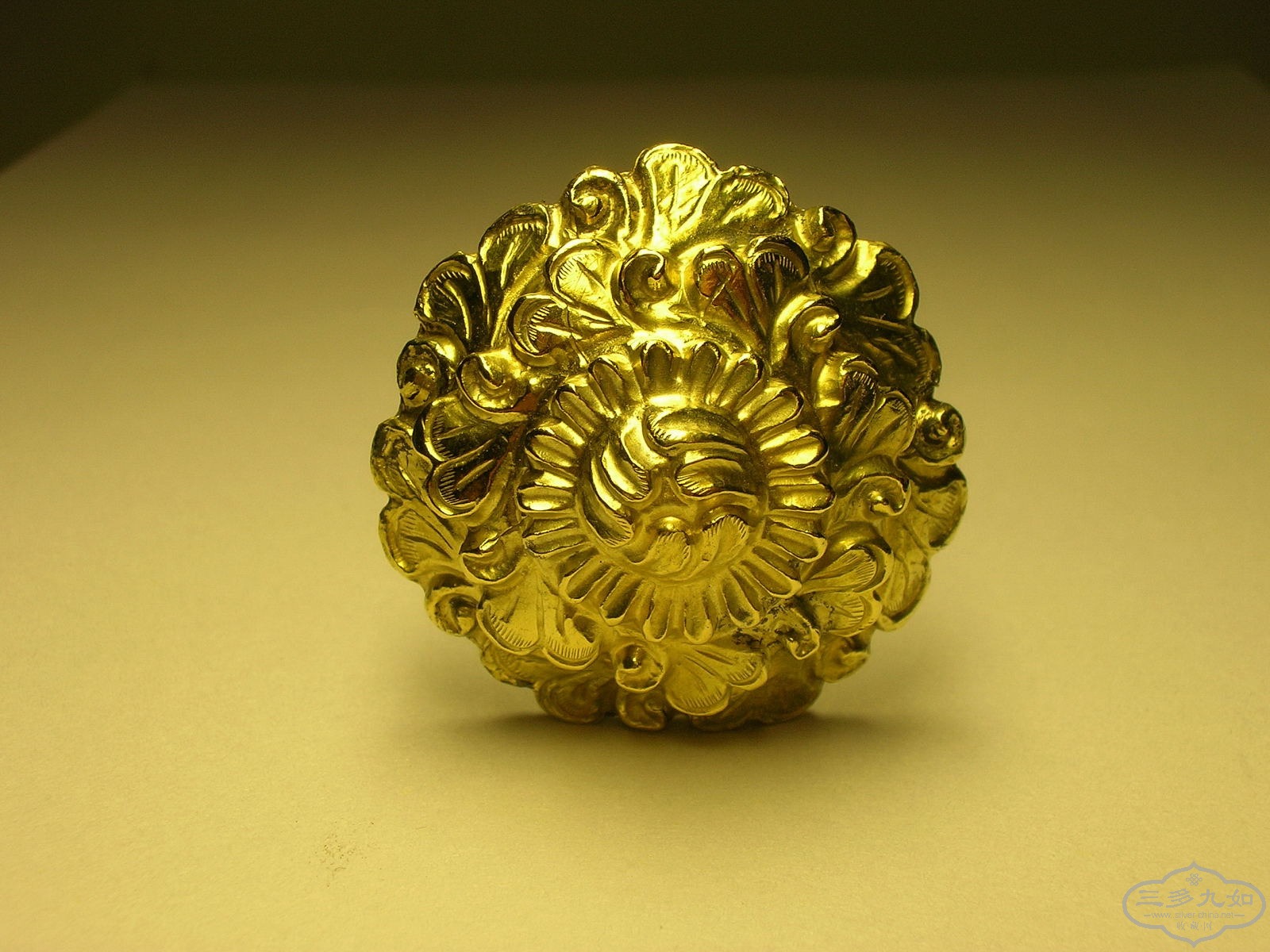 DSCN8231.JPG