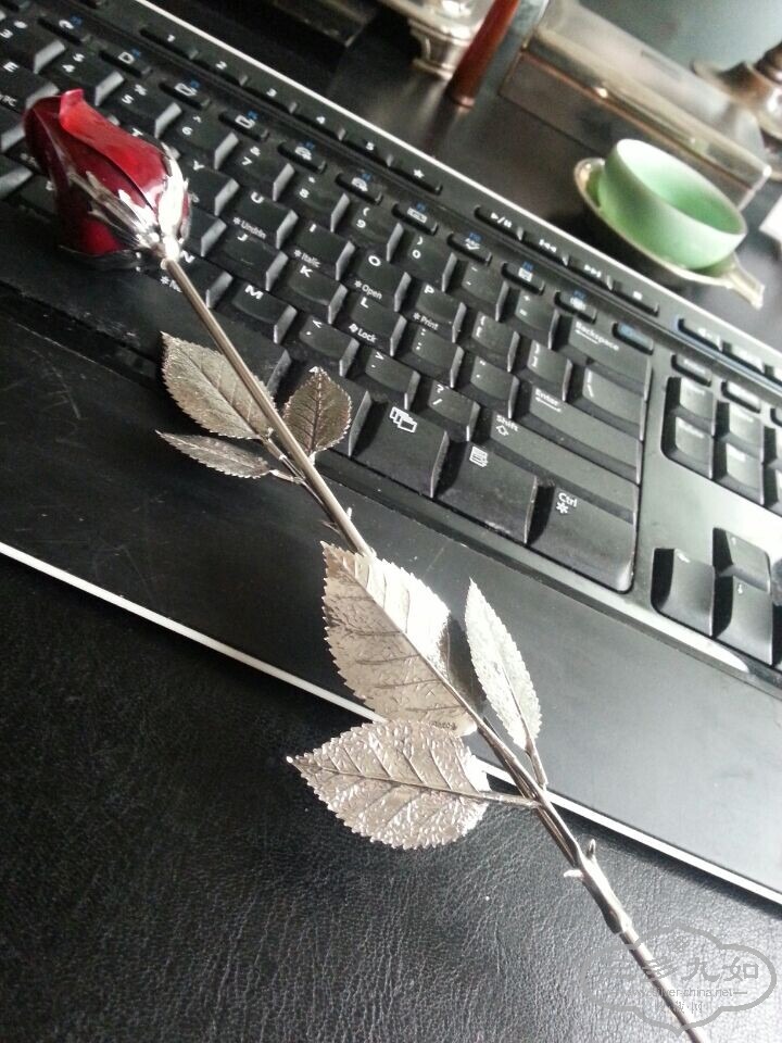 QQͼƬ20140603230857.jpg