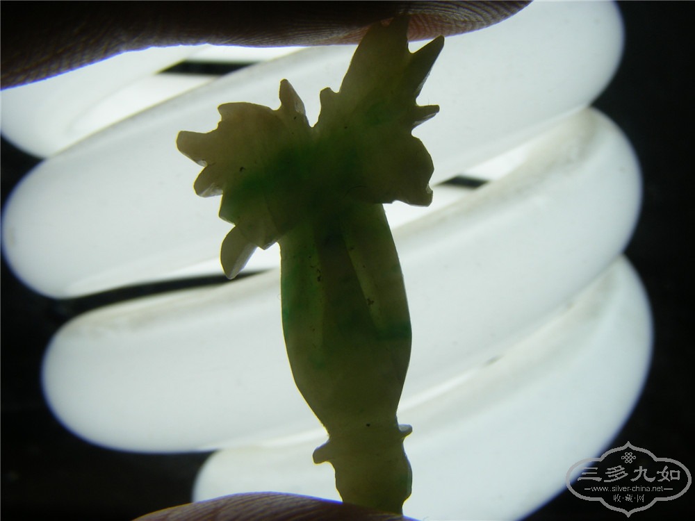 DSCF7726.jpg