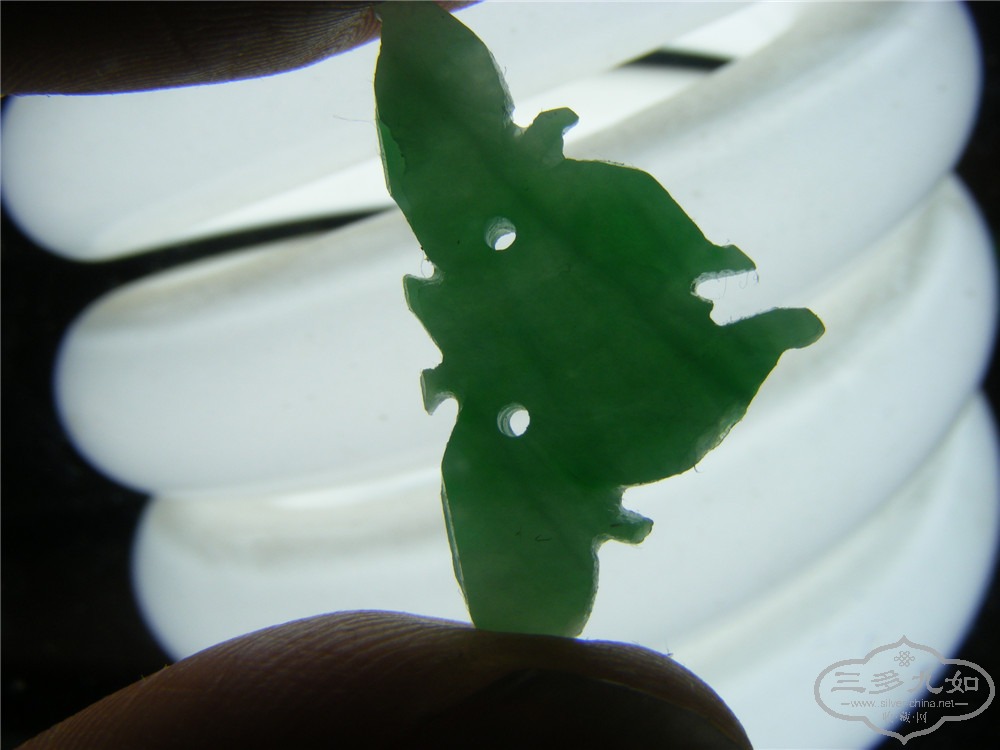 DSCF8081.jpg