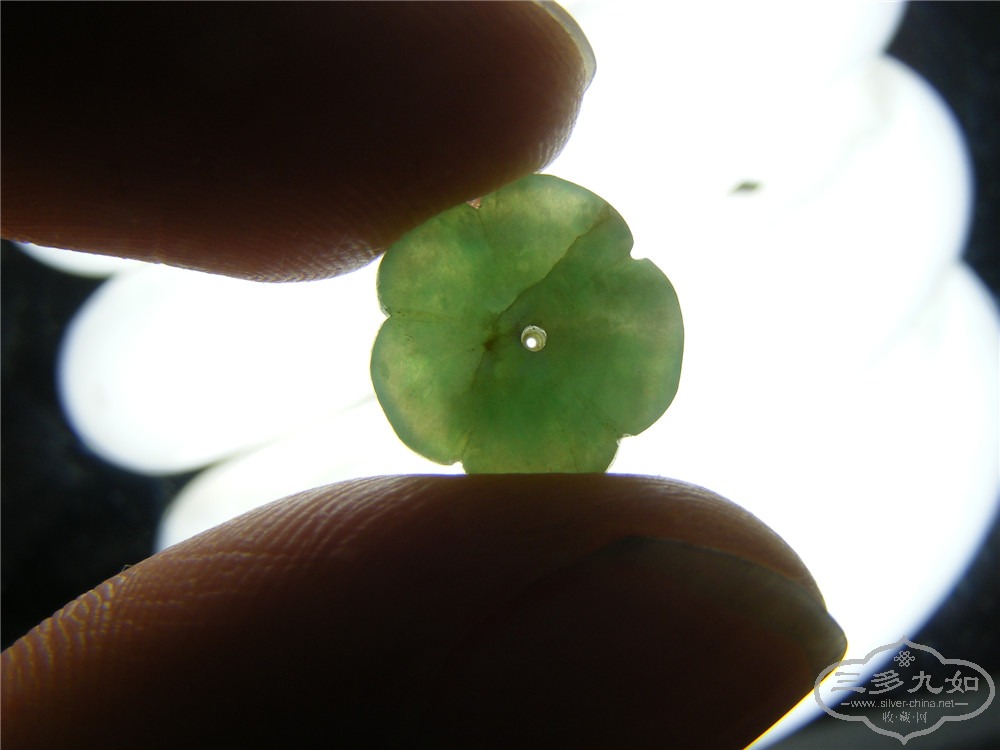 DSCF8176.jpg