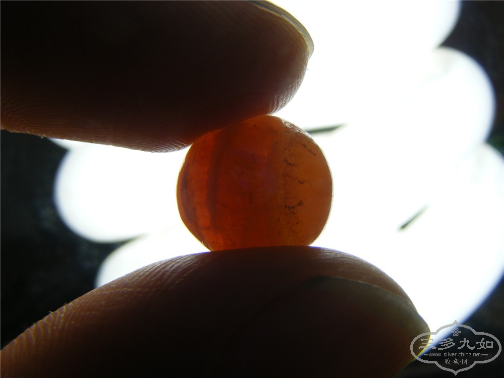 DSCF8240.jpg