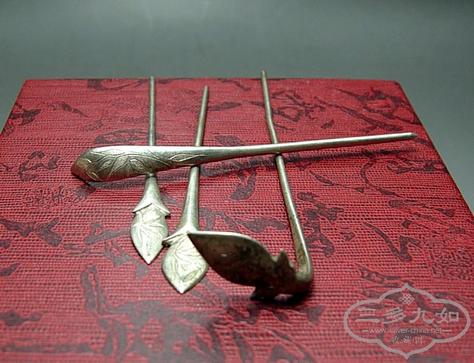 DSCN6295.jpg