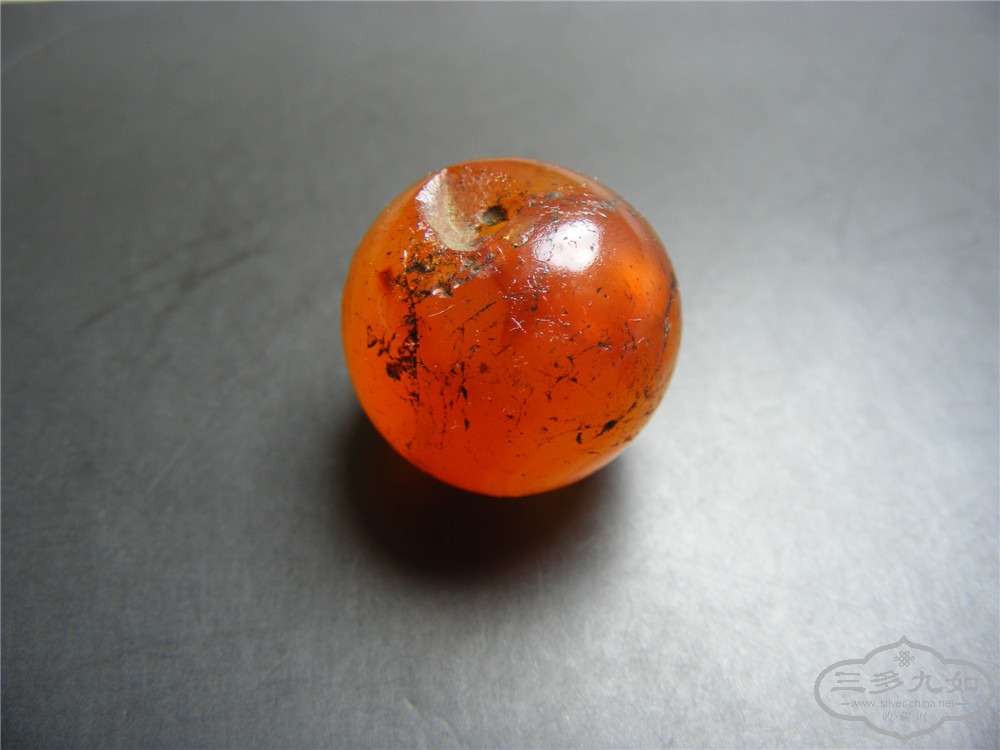 DSCF5598.jpg