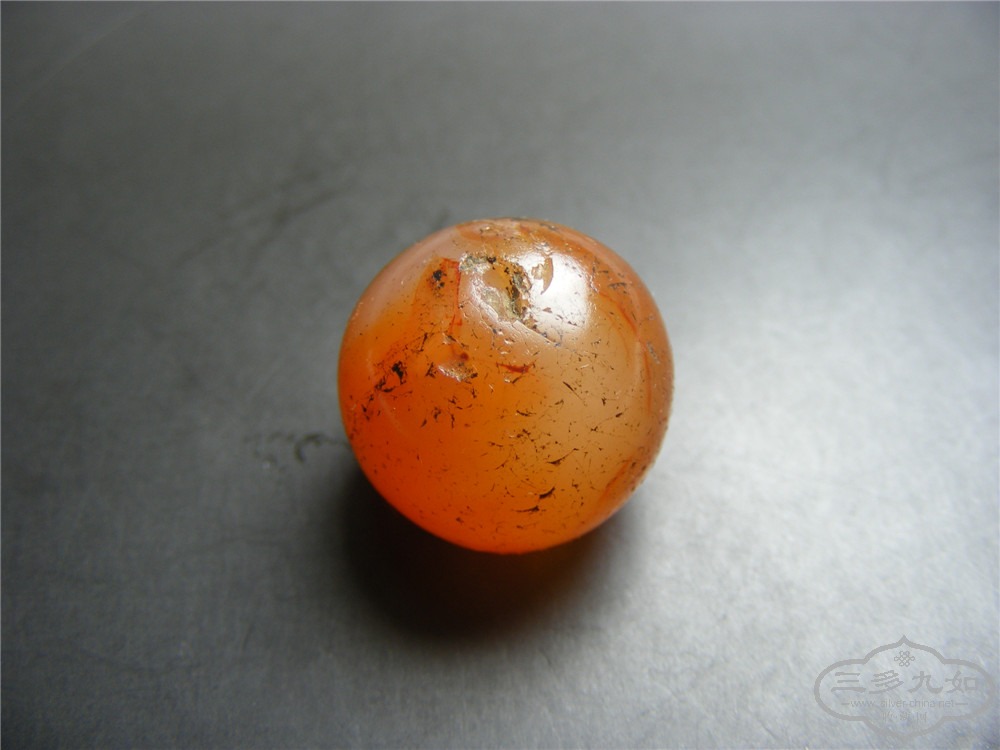 DSCF5600.jpg