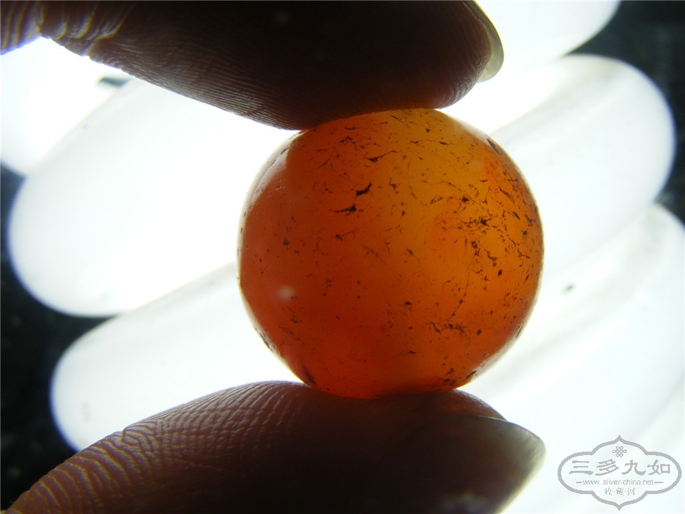 DSCF5609.jpg