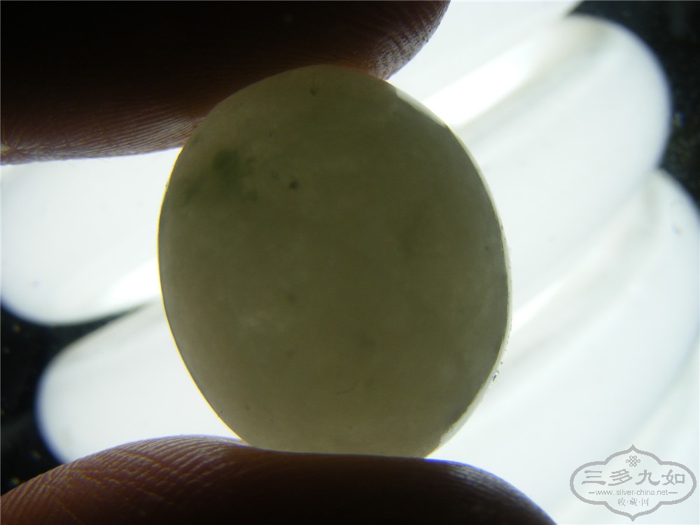 DSCF5447.jpg