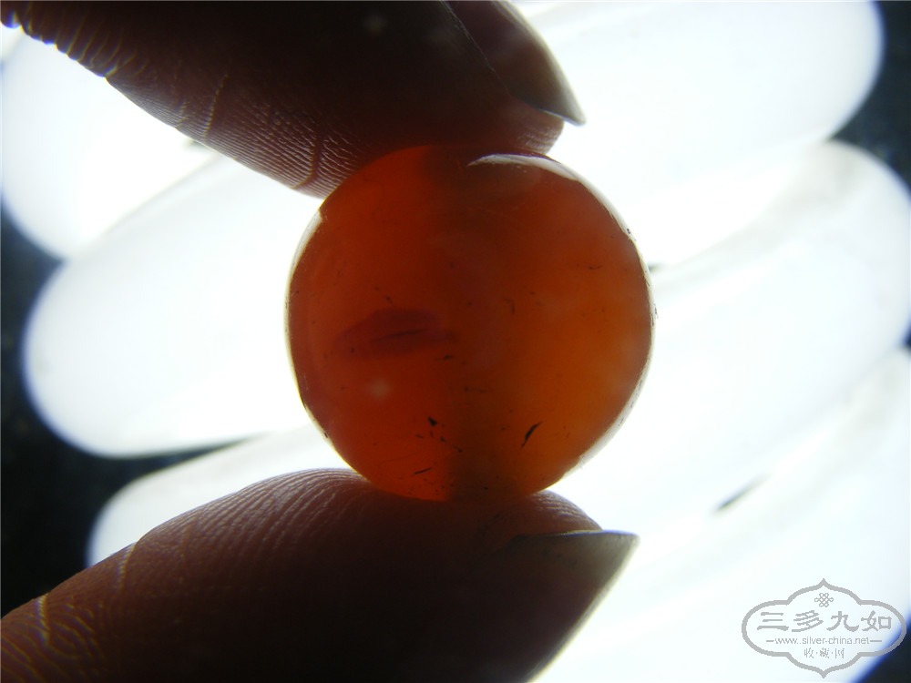DSCF6071.jpg