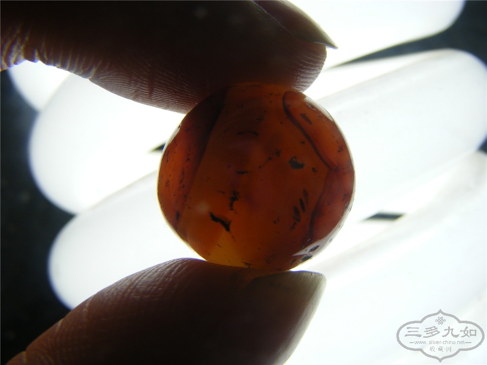 DSCF6028.jpg