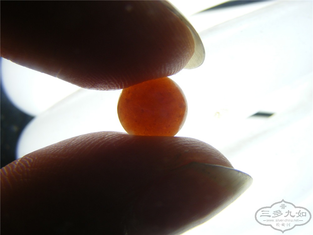 DSCF6093.jpg