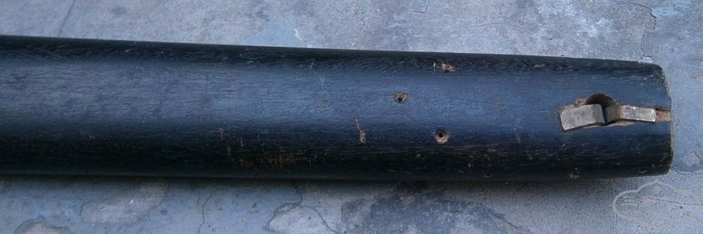 P1010004.JPG