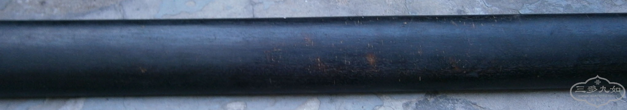 P1010008.JPG