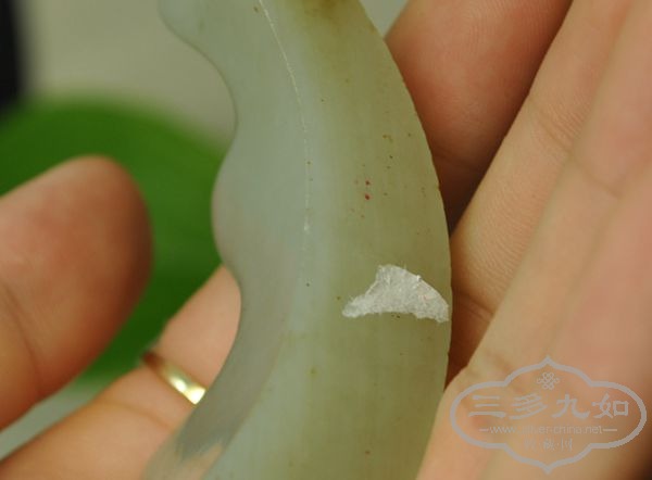 DSC_5438_.jpg