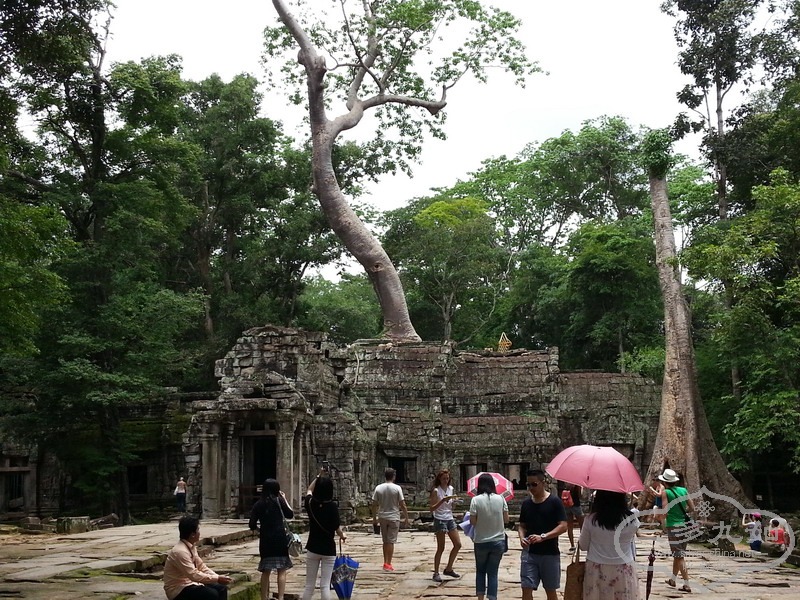 20140710_131117.jpg