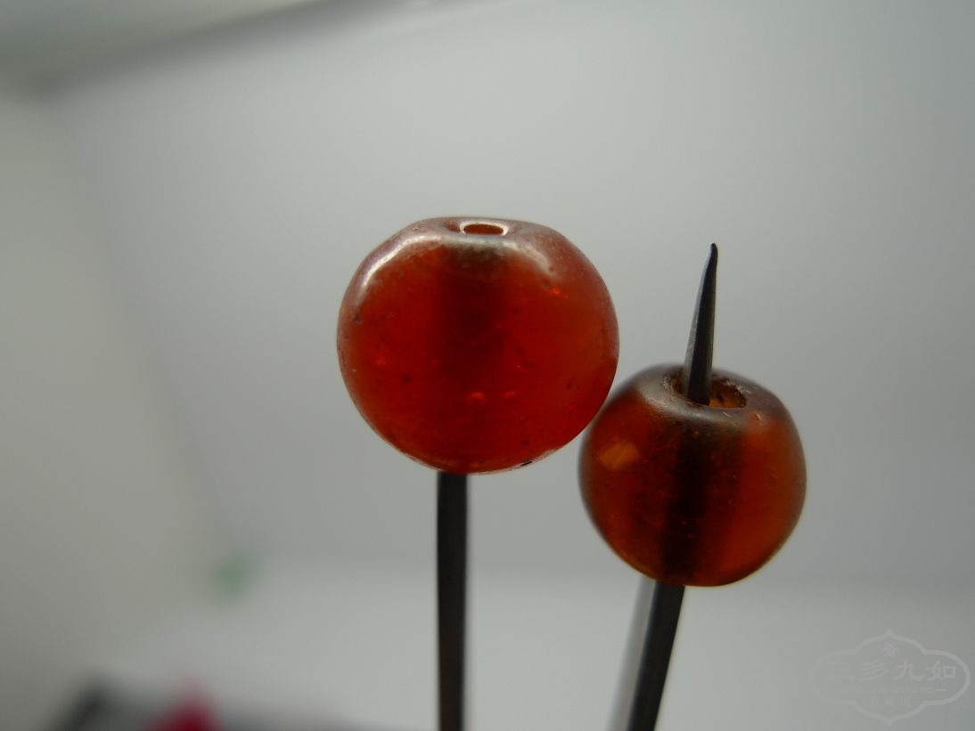 P1100073.jpg