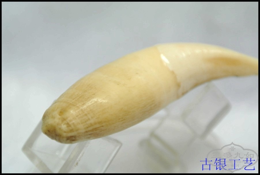 conew_dsc_9179_conew1.jpg