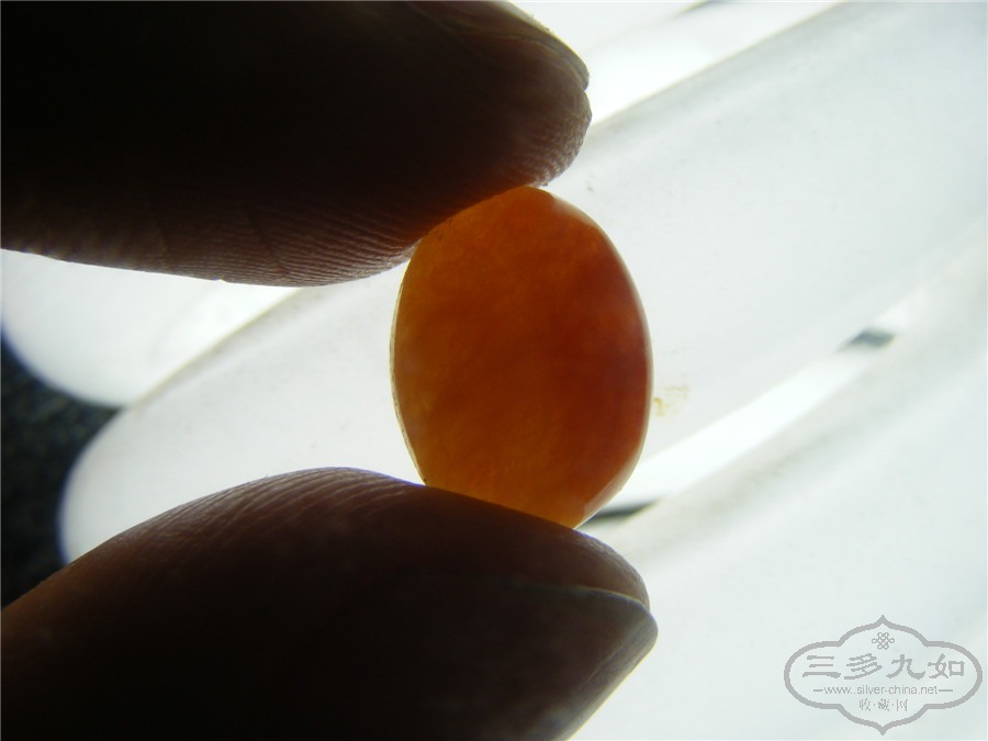DSCF8435.jpg