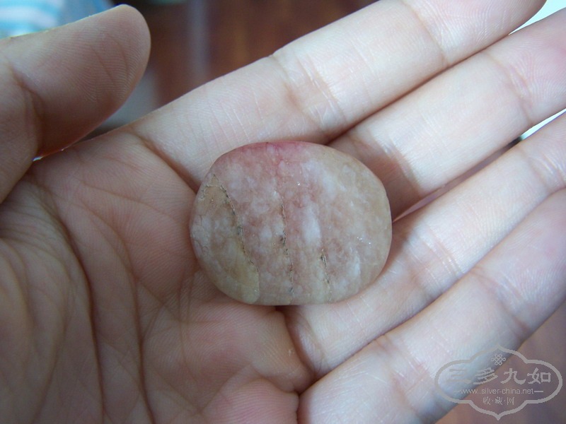 100_0703.JPG