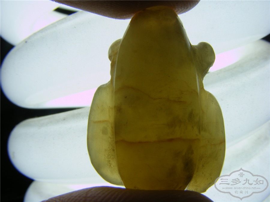 DSCF9706.jpg