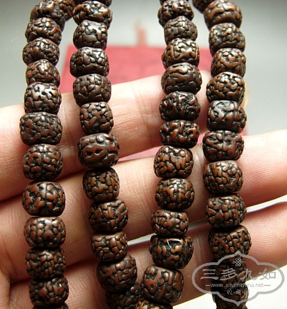 DSCN7130.jpg