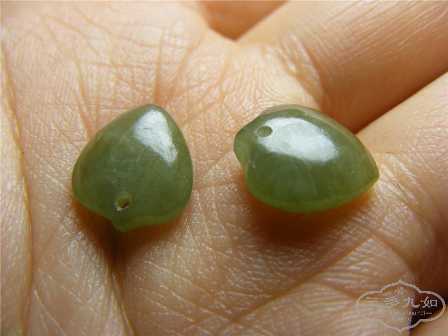 DSCF5528.jpg