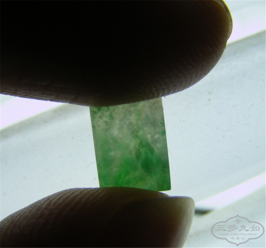 DSCF5448.jpg