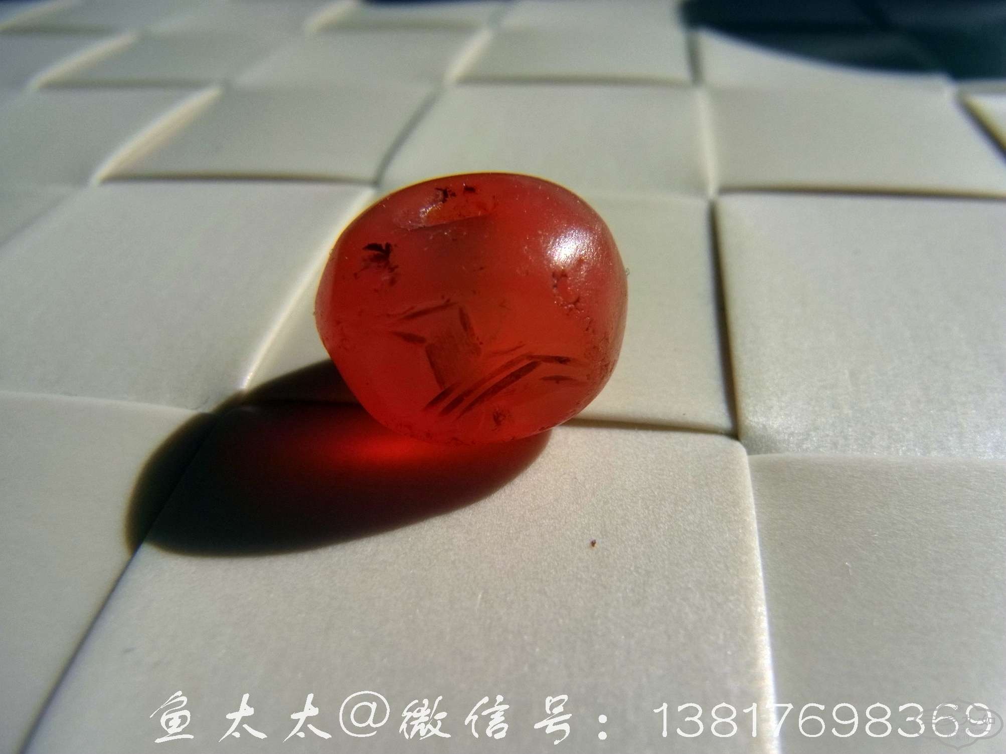 RIMG0001.jpg