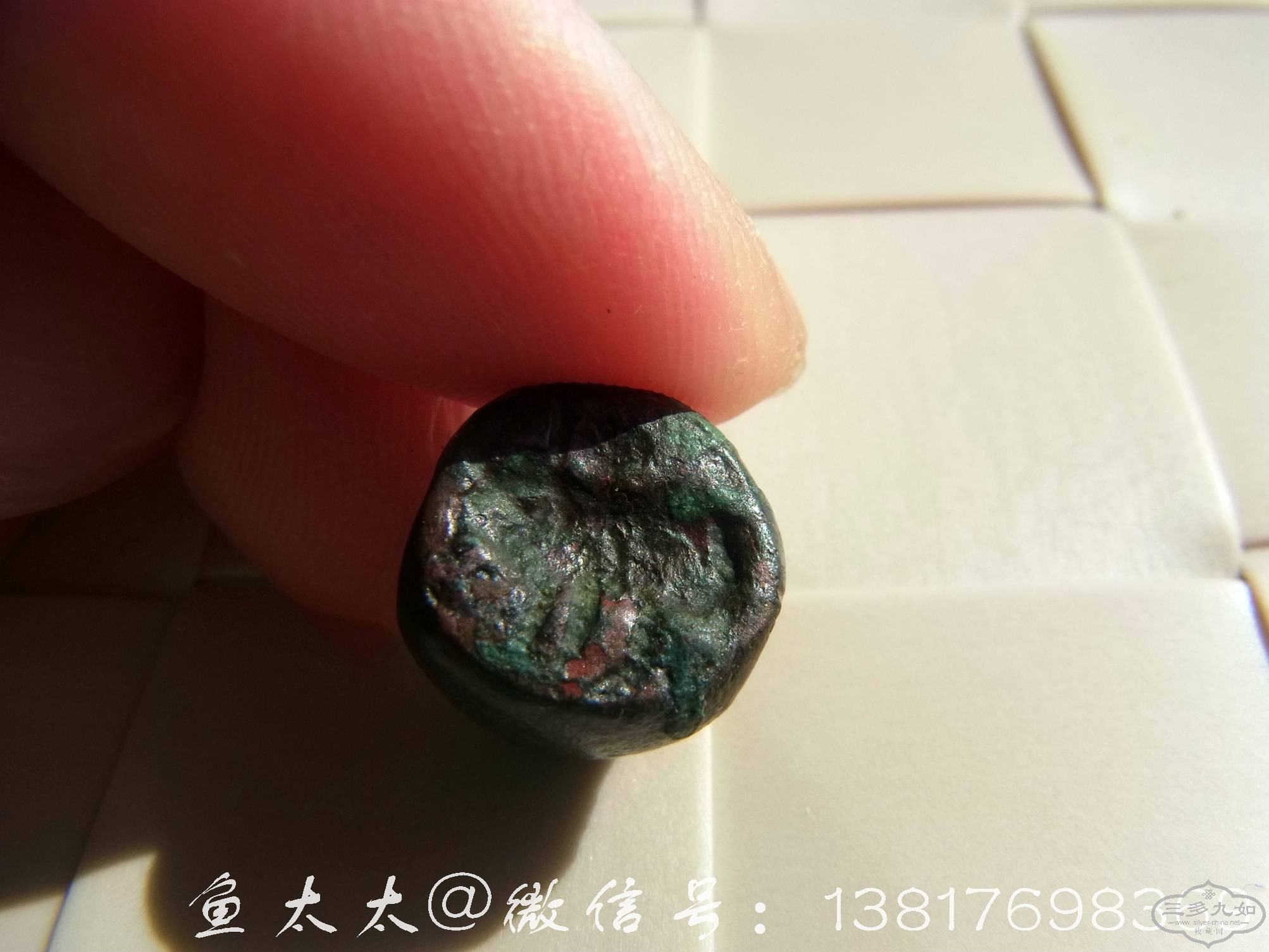 RIMG0011.jpg