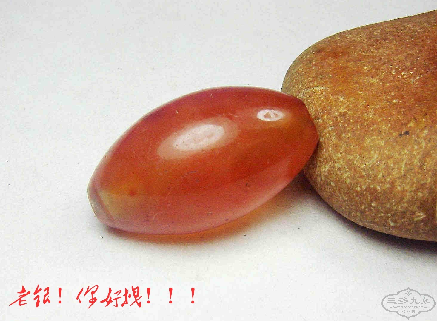 conew_dsc01970.jpg