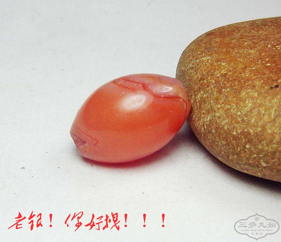 conew_dsc01973.jpg