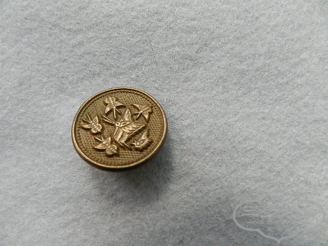 DSCN0512.JPG