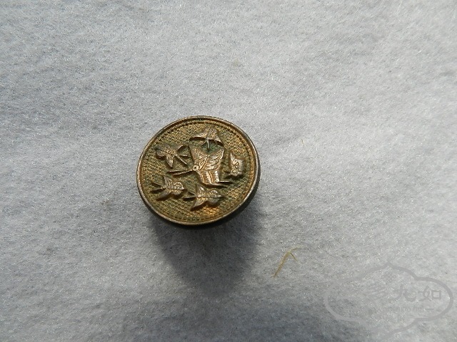 DSCN0514.JPG