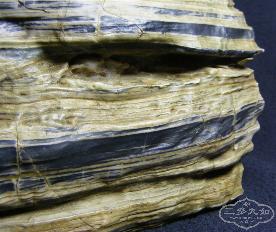 117.jpg