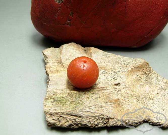 DSCN0009.jpg