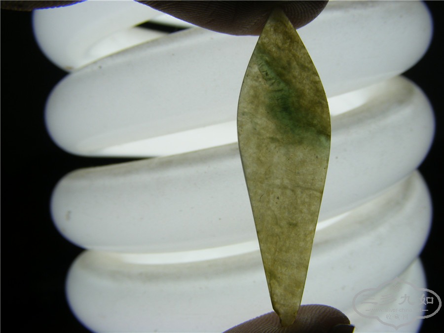 DSCF6325.jpg