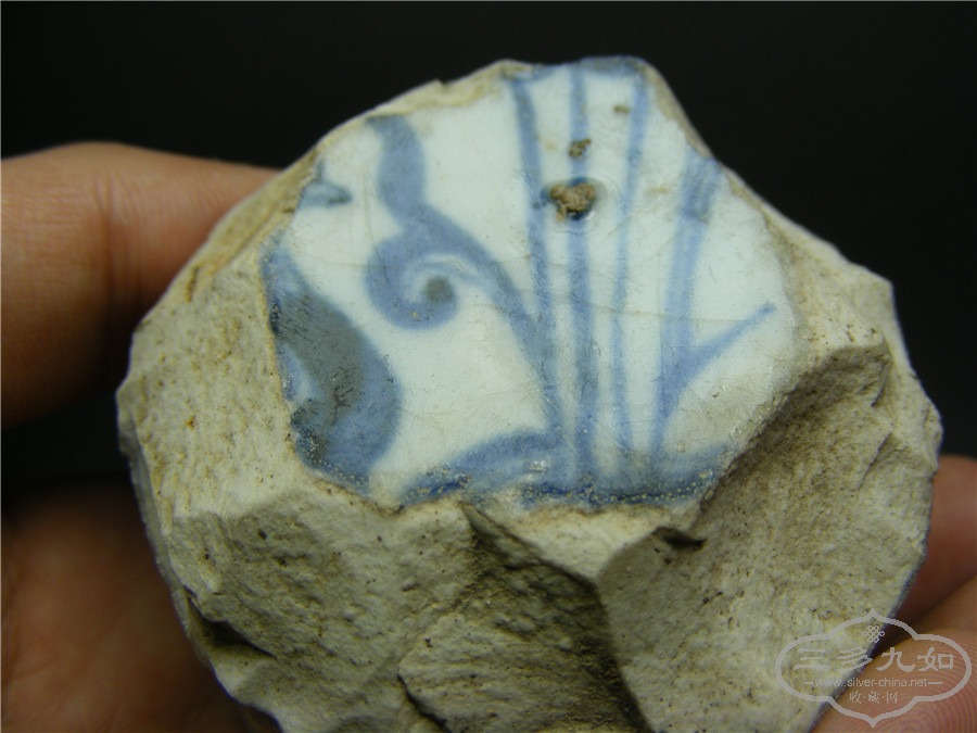 DSCF6234.jpg