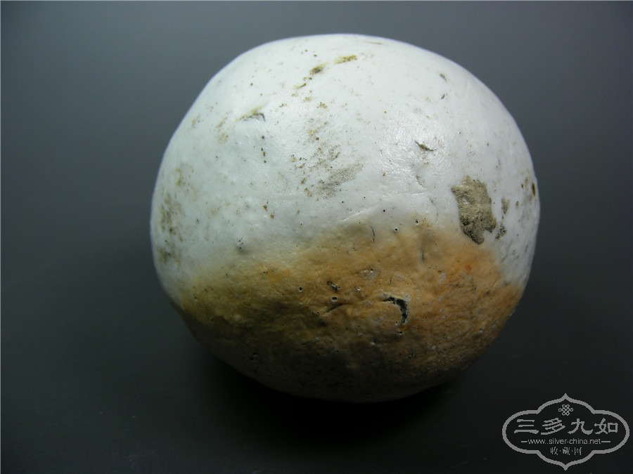DSCF9866.jpg