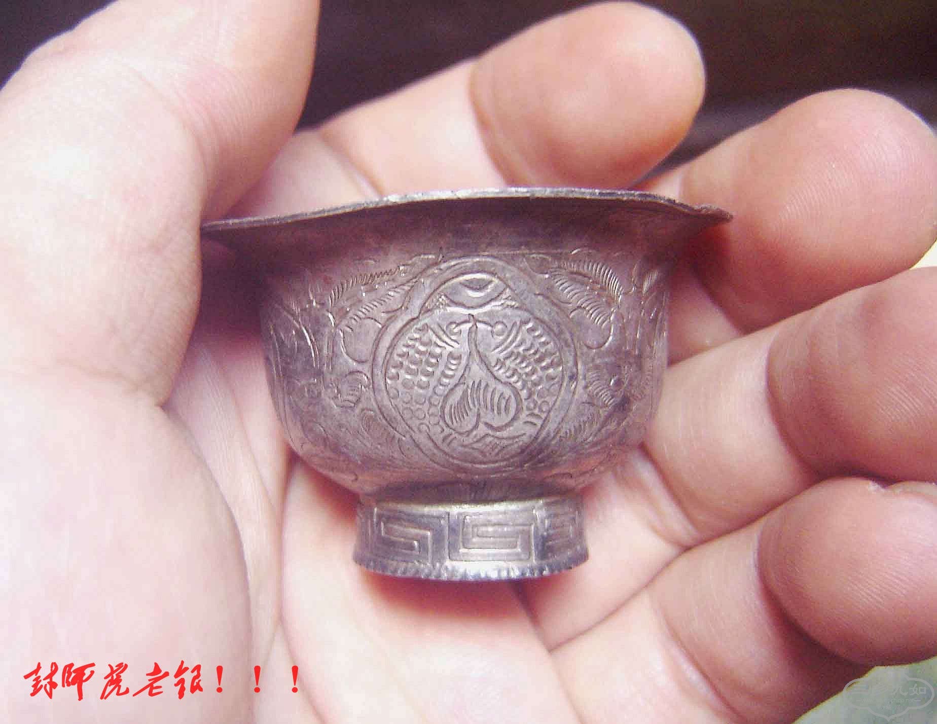conew_dsc02611.jpg